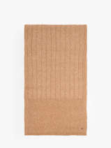 Sjaal Tommy hilfiger Bruin th flag AW17787