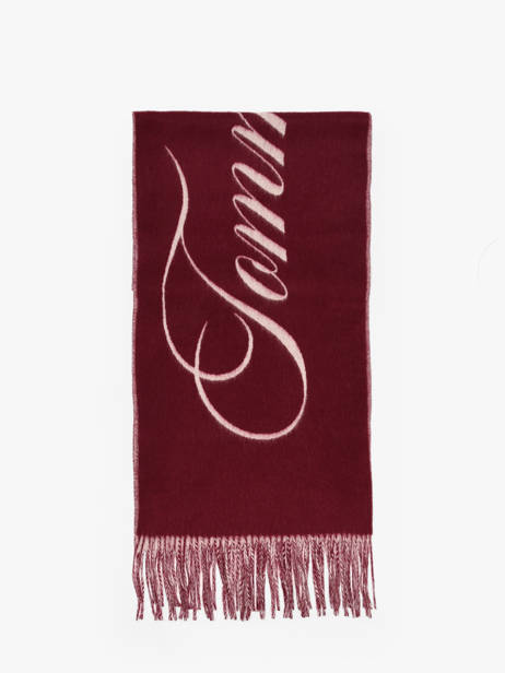 Sjaal Tommy hilfiger Rood tommy script logo AW17786