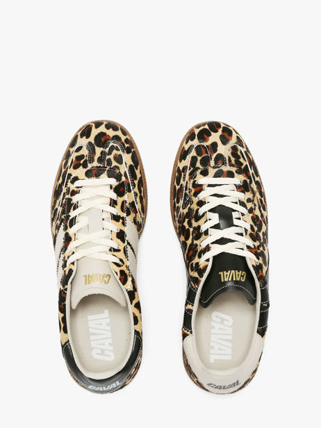 Sneakers Uit Leder Caval Veelkleurig women BAPULS30 ander zicht 3